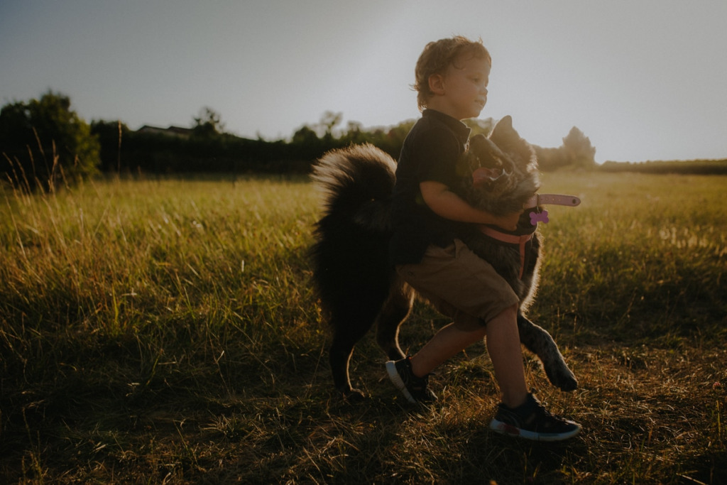 Enfant avec son chien mini-séances photos d'amour