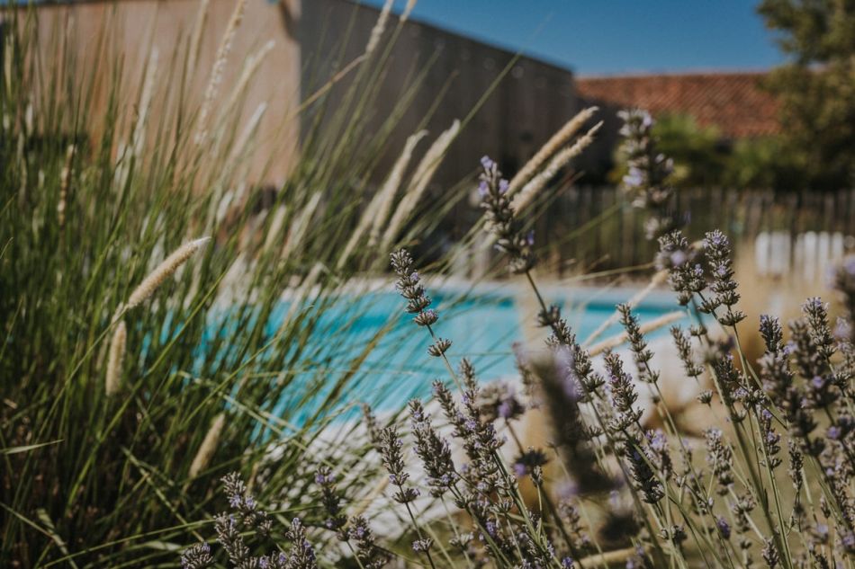 French wedding in Gascony photographer, in Auch,