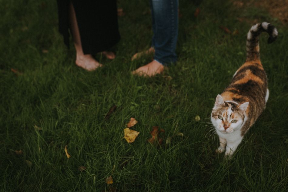 le chat en séance photo grossesse, Toulouse, avec MGphotographies